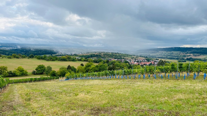 22-09-10 17-35-39 1959.jpeg